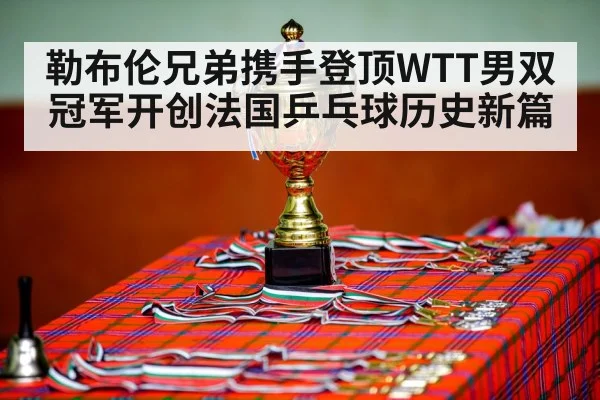 勒布伦兄弟携手登顶WTT男双冠军开创法国乒乓球历史新篇