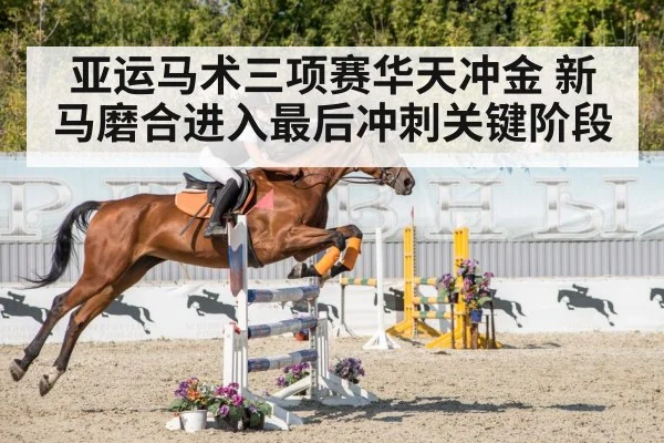 亚运马术三项赛华天冲金 新马磨合进入最后冲刺关键阶段