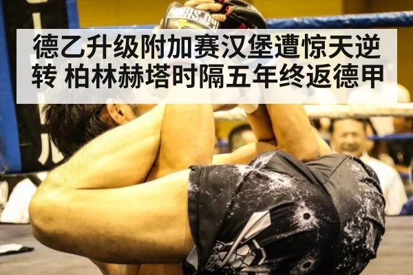 德乙升级附加赛汉堡遭惊天逆转 柏林赫塔时隔五年终返德甲